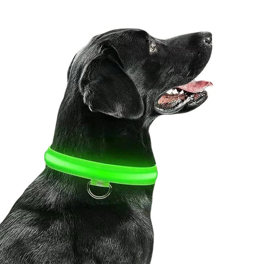LED - Hundehalsband - Powertoolz
