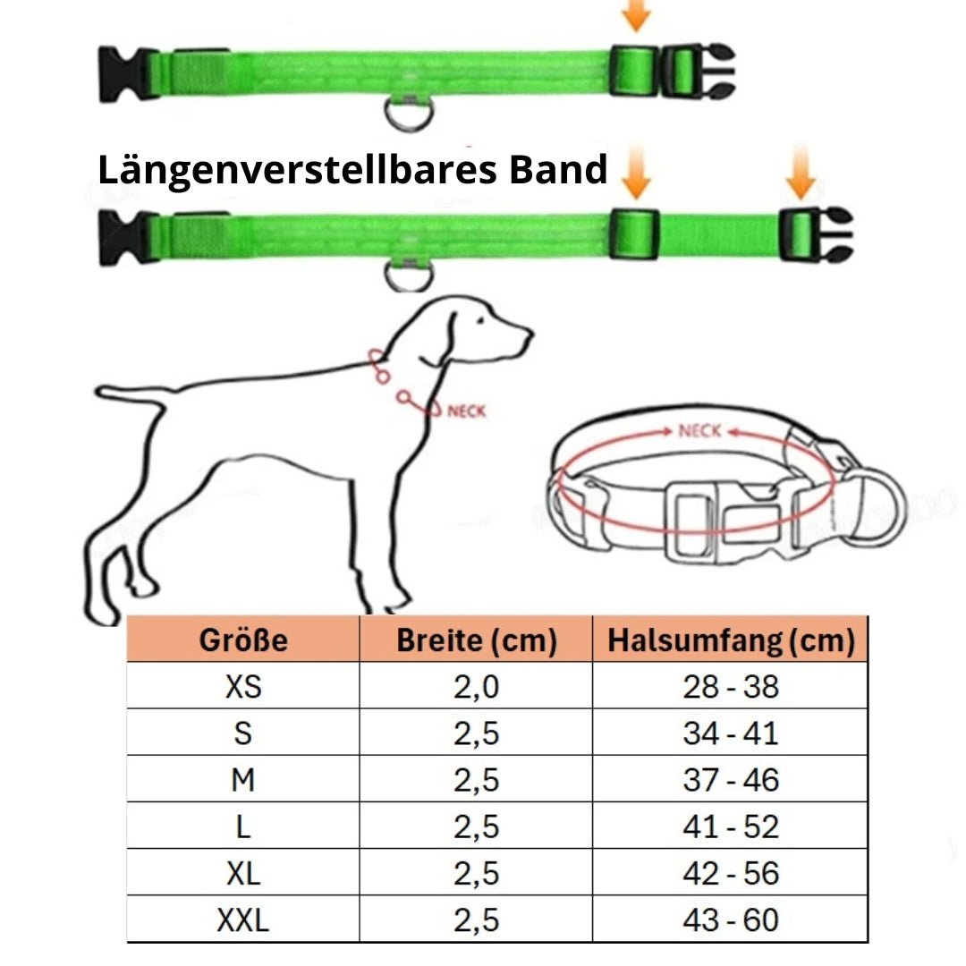 LED - Hundehalsband - Powertoolz